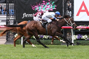 Kermadec Carbine Club web